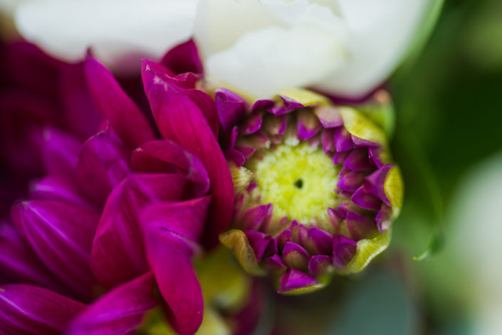 Wedding Flowers in Houston