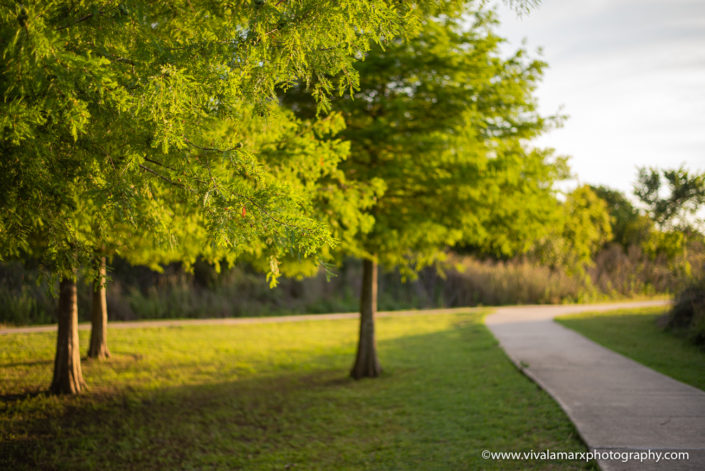 Best Photography Spots in Pearland