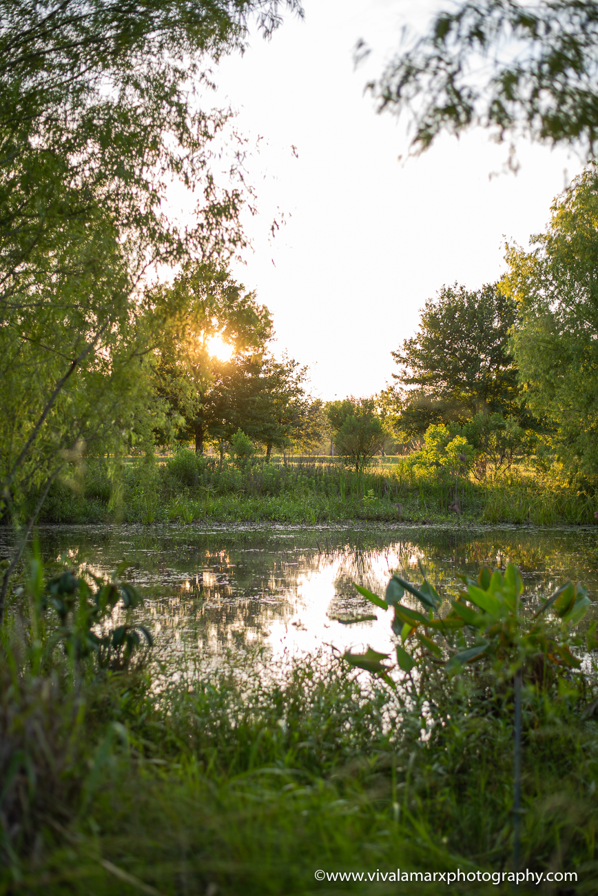Best Photography Spots in Pearland