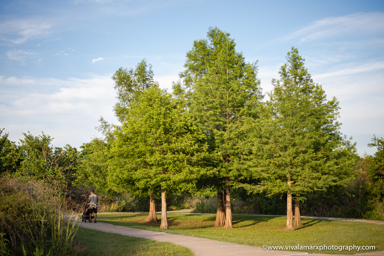 Shadow Creek Nature Trail in Pearland